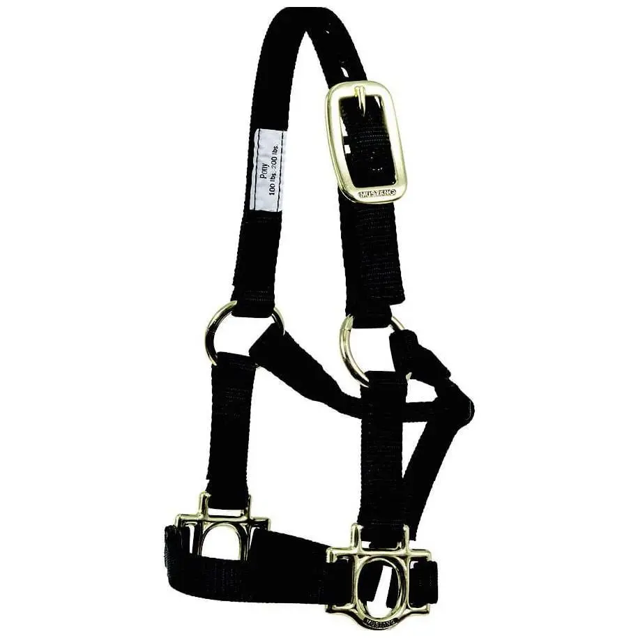 Traditional Nylon Pony Halter