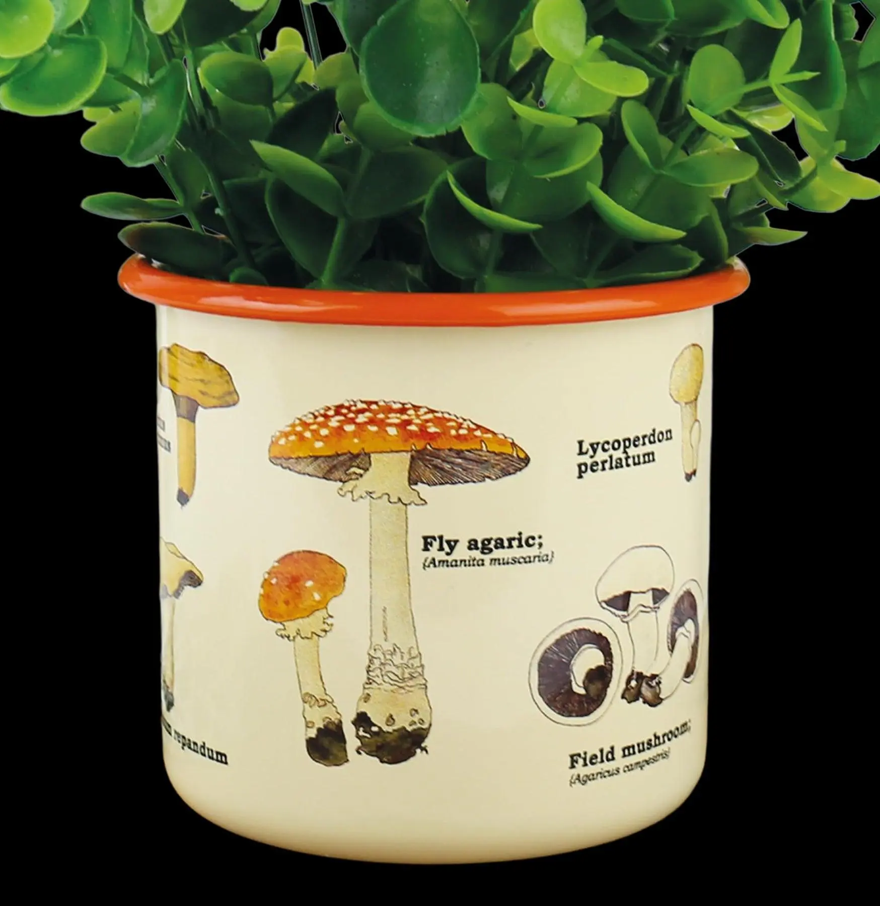 Mushrooms Enamel Plant Pot