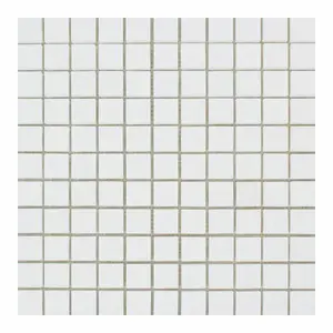 Thassos White 1x1 Polished/Honed Marble Mosaic Tile