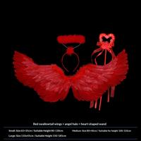 Red wings + headband + wand