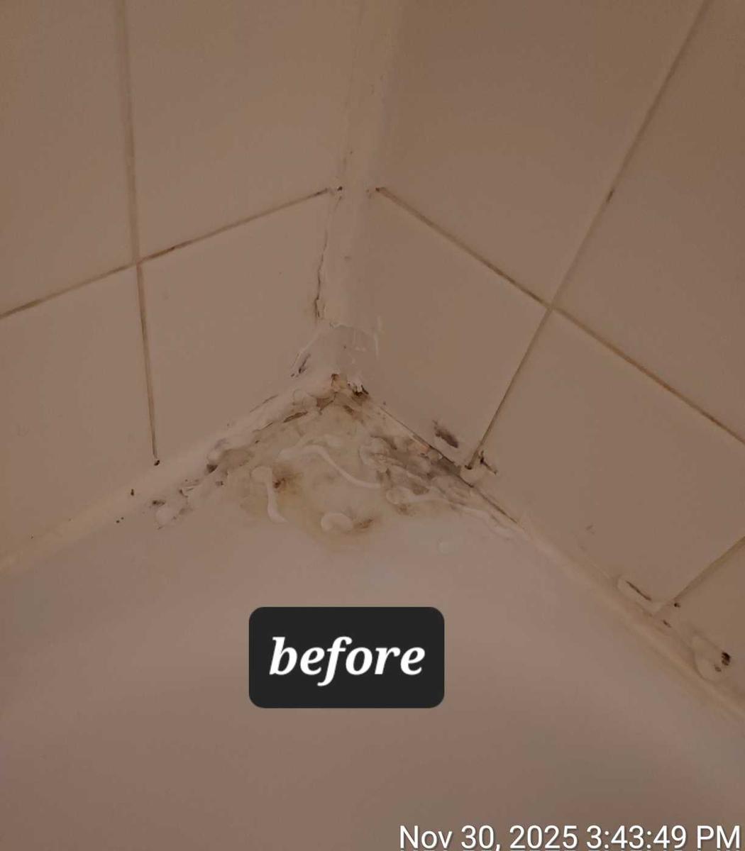 Item: Mold Remover Gel 210g with Scrub Brush