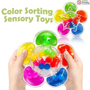 Color Sorting Toys Sensory Toys, Fine Motor Skills Game for Toddlers, Color Matching Toy, Preschool Learning Activities, Montessori Toy
