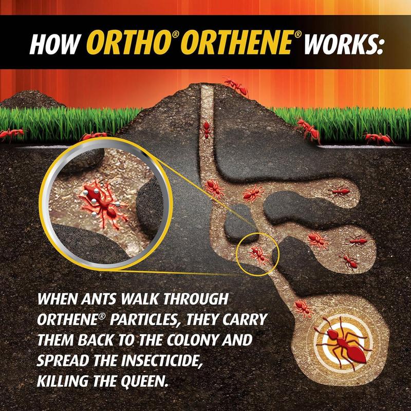 Ortho Orthene Fire Ant Killer1, Kills the Queen and Destroys Mounds, Begins Working in 60 minutes, 12 oz., 2-Pack Plant 01