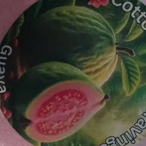 Gourmet Flavored Sugar (Cotton Candy Flavored Sugar) Sweetener Granules Dessert