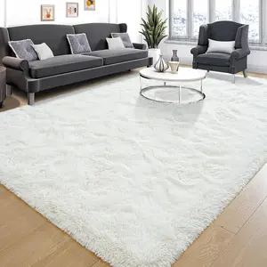 Shag Area Rugs for Bedroom Living Room, Ultra Soft Fluffy Area Rugs for Dorm, Modern Indoor Rug, Indoor Carpet Nursery Rugs for Kids' Room & Home Decor