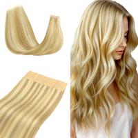 #16/22 Light Blonde Highlighted Golden Blonde