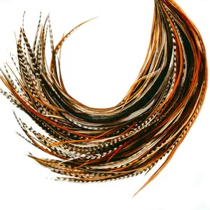 Natural Color 21 Hair Feathers - 7”-12” Long - 20 Micro-link Beads - 100% Real Rooster Feathers - Eye-Catching Design for Hair Extension DIY Kit
