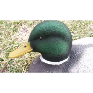 Mallard Head Decoy Flocking Kit