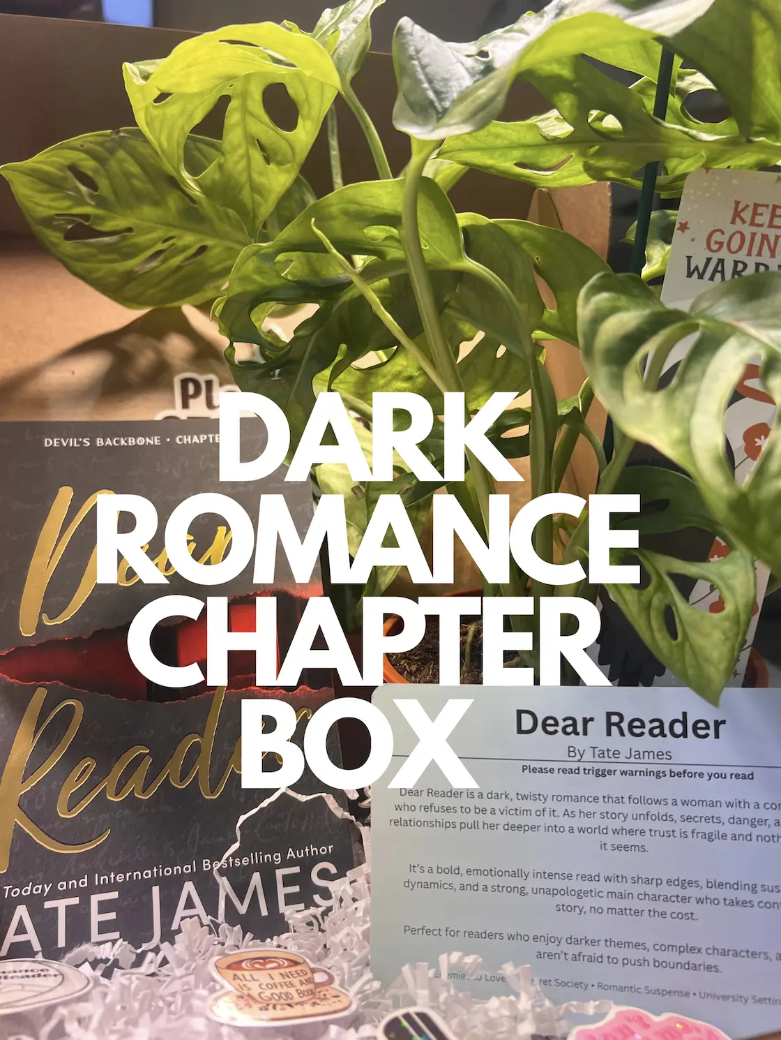 Dark Chapters Box Dark Chapters Box