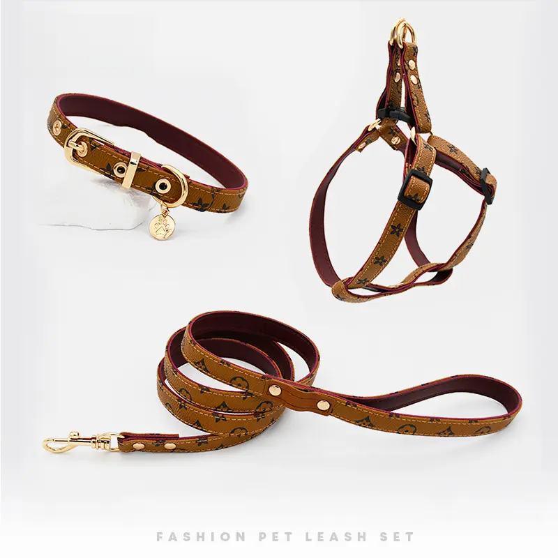 Escape Proof Halter Harness Set for Small-Medium Canines - Includes Harness Straps, Swivel Leash, Collar, Neck Ring, Anti-Burst Features - Summer Walking Pet Supplies, Escape Proof Harness