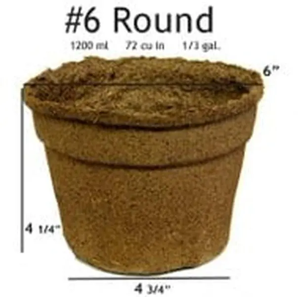 CowPots #6 Round Composted Manure Biodegradable Pot - 42-Pack 1200ml (6x4.75x4.25in) Eco-Friendly Outdoor Garden Accessories for Flower Garden Home Improvement
