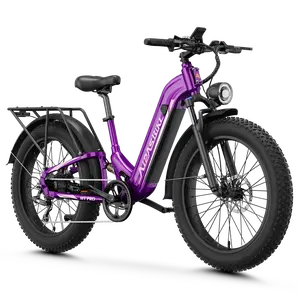Aipas® M1 Pro Xterrain ST Ebike