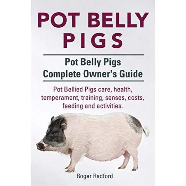 USED-Pot Belly Pigs. Pot Belly Pigs Complete Owners Guide. Pot Bellied Pigs care, health, temperament, training, senses, costs, feeding and activities. by Radford, Roger (Paperback)