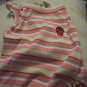 1pc Summer thin cute pet camisole vest, new embroidered strawberry camisole teddy bear cat camisole dress Clothing