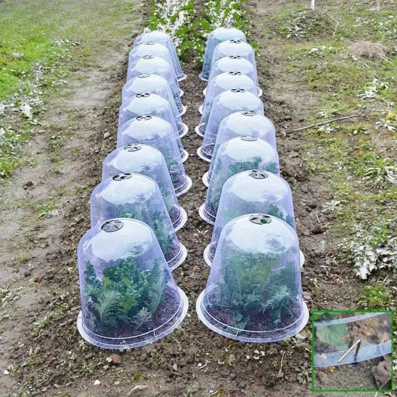 Reusable Plant Cover, Plant Protector, 30pcs/60pcs Bird & Snail Damage Protection, Vegetable & Seedling Moisture Cover for Garden Use, Flower Cover for Low Plants, Garden Supplies