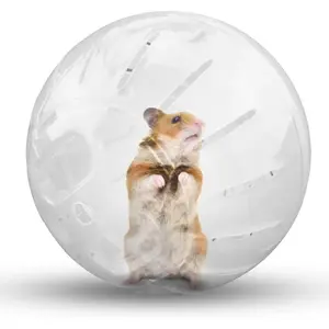 Hamster Exercise Ball Silent Hamster Wheel Small Animals Transparent Ball for Dwar Rat Relieves Boredom and Increases Activity (4.8 inch, Clear)