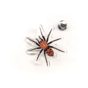 Guatemalan Tiger Rump Tarantula (Davus pentaloris) Acrylic Pin