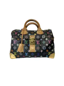 Pre-owned Louis Vuitton Takashi Murakami Monogram Multicolore Speedy 30