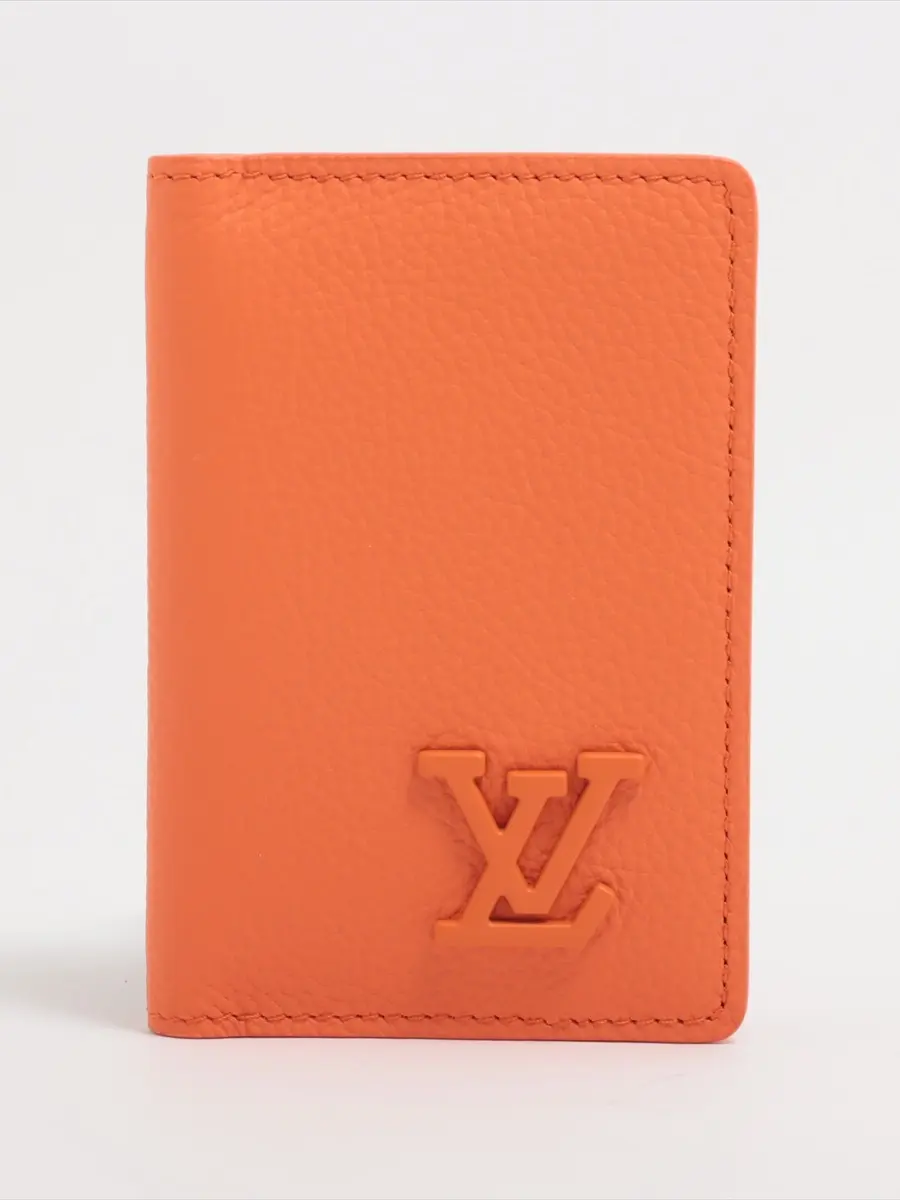 Pre-owned Louis Vuitton Leather Small Leather Goods Aerogram Pocket Organizer