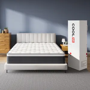 COOLMI 12 Inch Hybrid Mattress Queen Size Pocketed Coil Box Mattress Innerspring CertiPUR-US Certified Memory Foam Multi-Layer Support TikTokShopBlackFriday