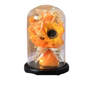 Eternal Rose Flower Led Light Up Rose in Acrylic Dome for Mom Girlfriend Boyfriend Daughter Women Teen Girl Glowing Versatile Gift Room Decor for Girls ID:1732327928096198968