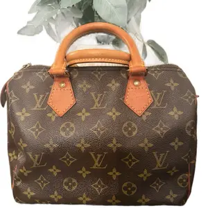 Pre-owned Louis Vuitton Canvas Top Handle Monogram 1996 Speedy 25