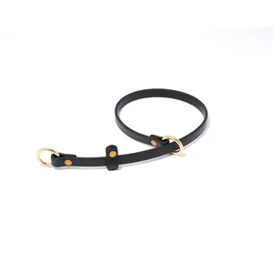 "Perfect Fit" Puppy Slip Training Collar: 1/2" Waterproof Biothane with Natural Brass Hardware