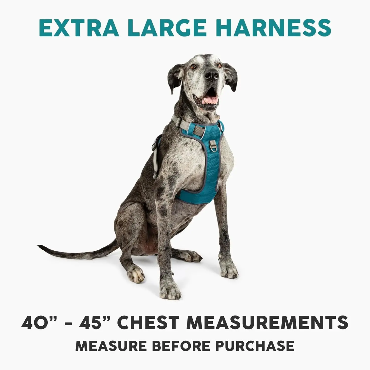 Embark Adventure No-Pull Dog Harness – XL, Reflective, Military Grade
