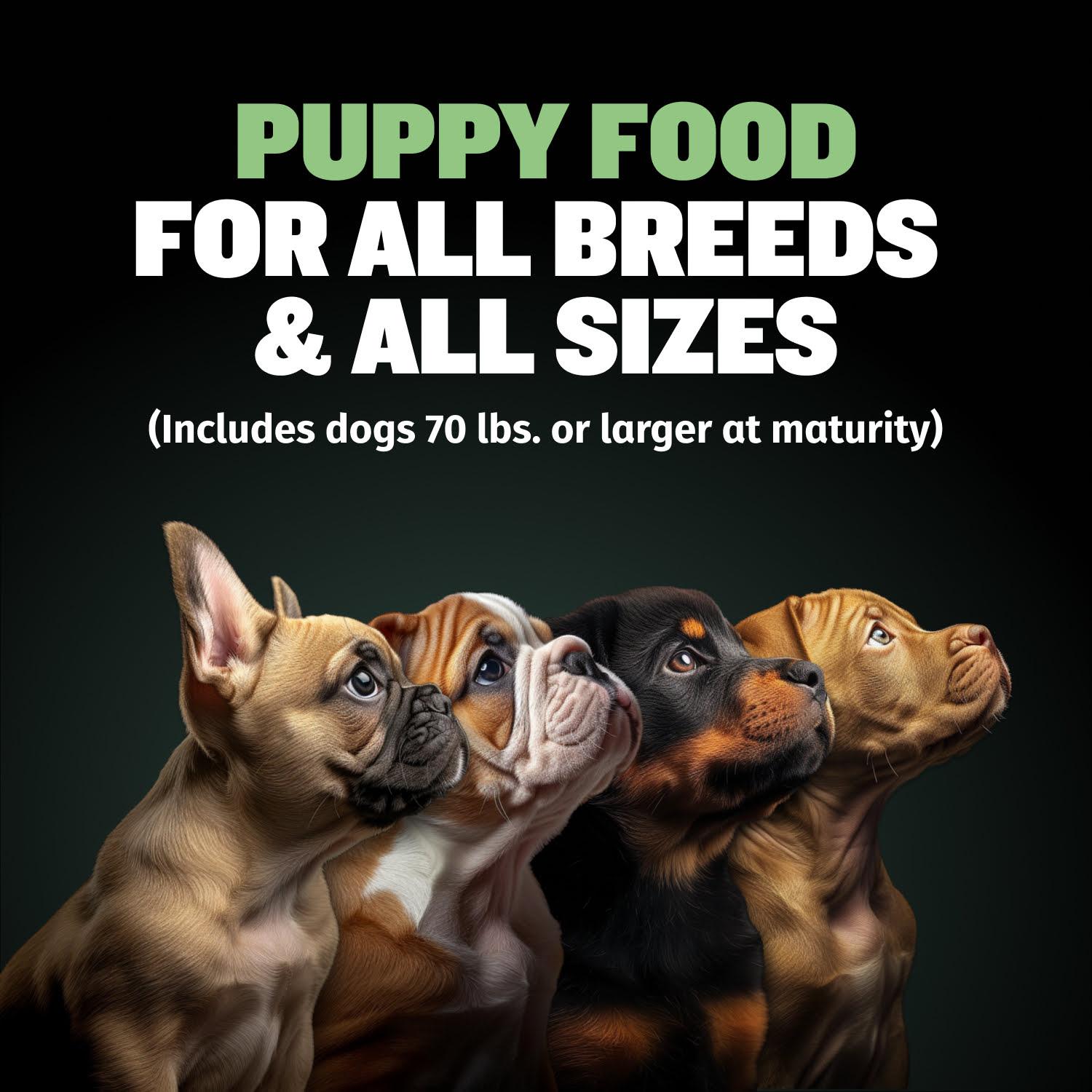 Bully Max 24/14 High Protein & Growth Puppy Food (5 lbs.) - 419 Calories Per Cup with TruMune for Immune Health and Development, For All Breeds of Dogs Bully Max 24/14 High Protein & Growth Puppy Food (5 lbs.) - 419 Calories Per Cup with TruMune for Immune Health and Development, For All Breeds of Dogs