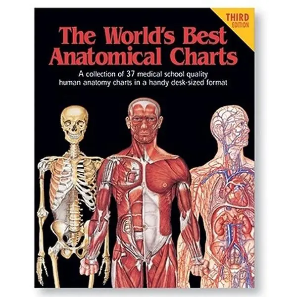 USED Book - The World's Best Anatomical Charts : A Collection of 37 Medical School Quality Human Anatomy Charts in a Handy Desk-Sized Format by Anatomical Chart (Paperback) - english