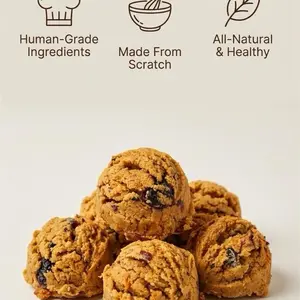 Hell Kitty Creations Makin’ Me Crazin Pumpkin Oat Biscuits Gourmet Cat & Dog Treats Human Grade Ingredients HealthyTreats 100% Natural No Fake Stuff Handmade All-Natural & Healthy