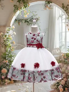 Kids Clothes Flower Girl Embroidered Patchwork Mesh Ball Gown Pageant Children Elegant Performance Princess Prom Host Formal Evening Party Cocktail Dress for all Season 2 to 8 Years Floral Dress
