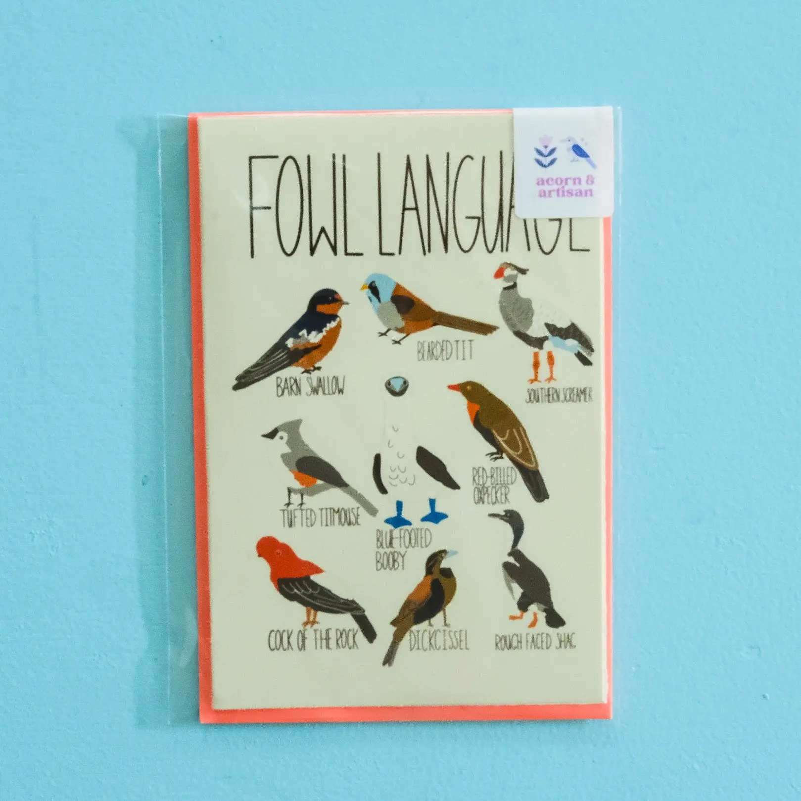 Fowl Language Blank Greeting Card, pun bird card