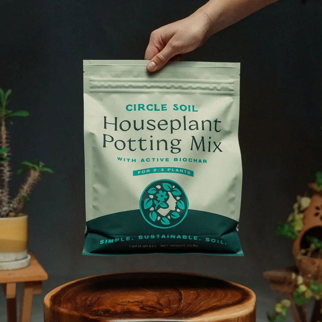 Premium Houseplant Mix