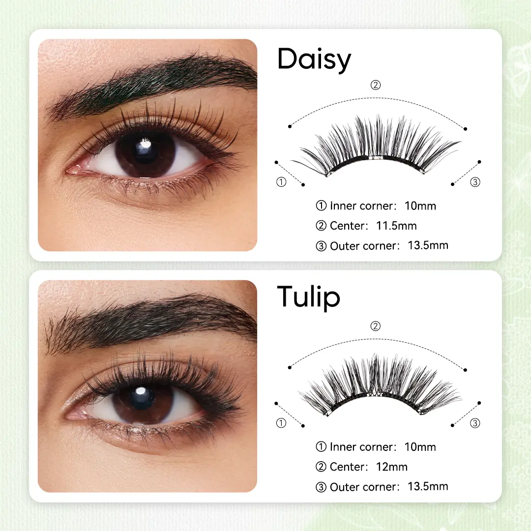 Botanic Collection Tulip+Daisy