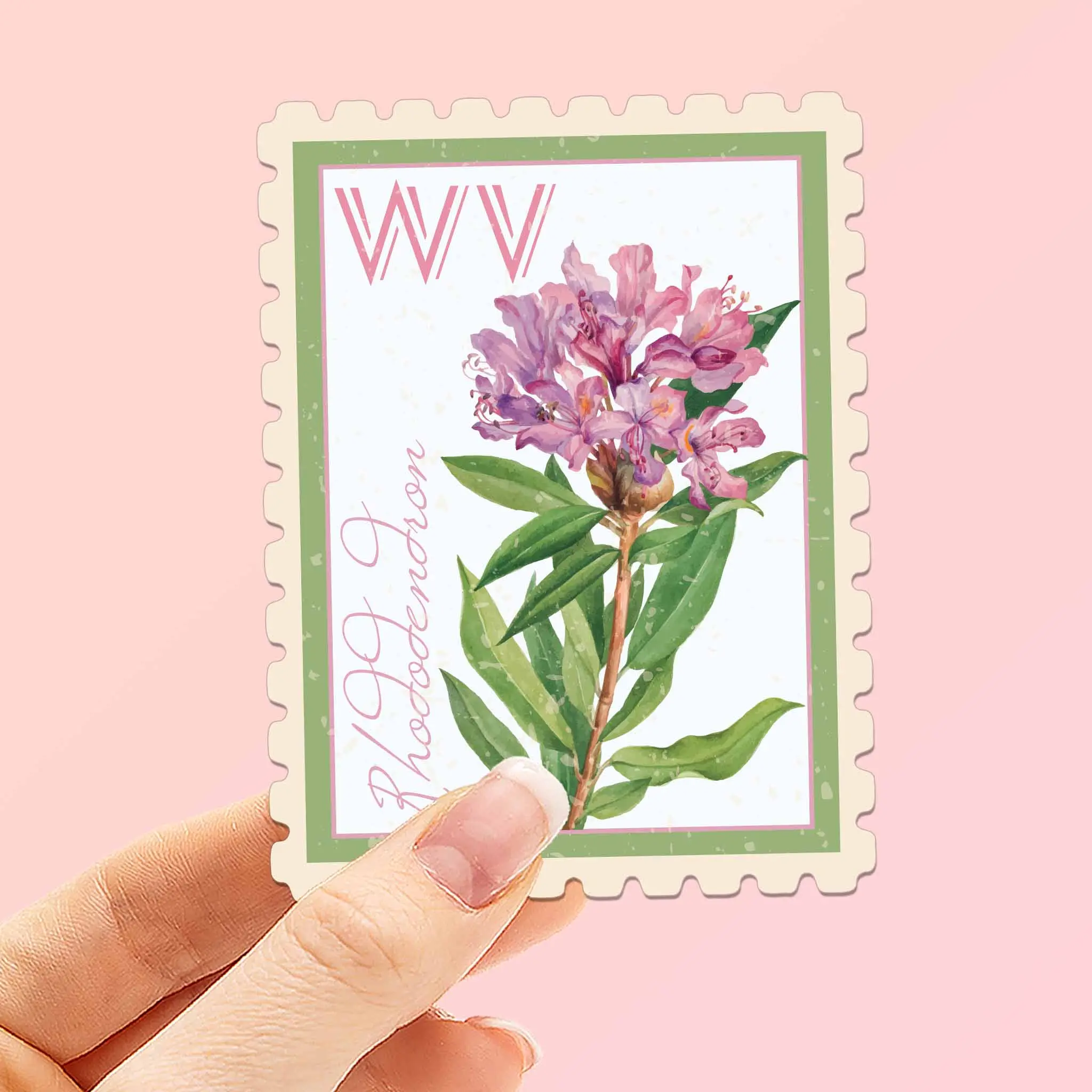 West Virginia State Flower Rhododendron Sticker- WV Vintage Stamp Decal