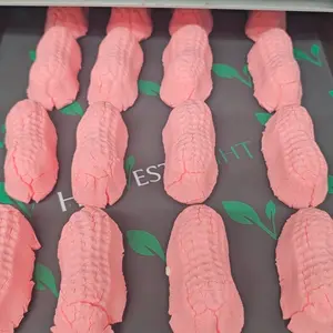 Freeze Dried Candy - Strawberry Peanuts Freeze Dried Candy - Strawberry Peanuts