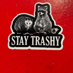 2  Pack - 2.5 x 2.75 “Stay Trashy” Raccoon & Possum, Adult Humor, Raccoon Love!! Decorative Stickers, Vinyl Decal