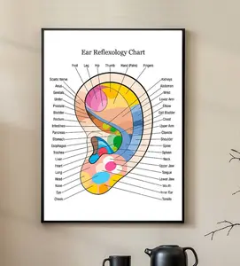 Ear Reflexology Chart Poster, Ear Chart Poster, Chart Poster. Vintage-Inspired Wall Decor Poster. Retro Charm for a Home Decor