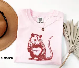 Comfort Colors Possum Valentines T-Shirt, Funny Valentine, Absolutely Not Opossum Meme Tee, Vintage Animal Heart Crewneck Possum Lover Gift