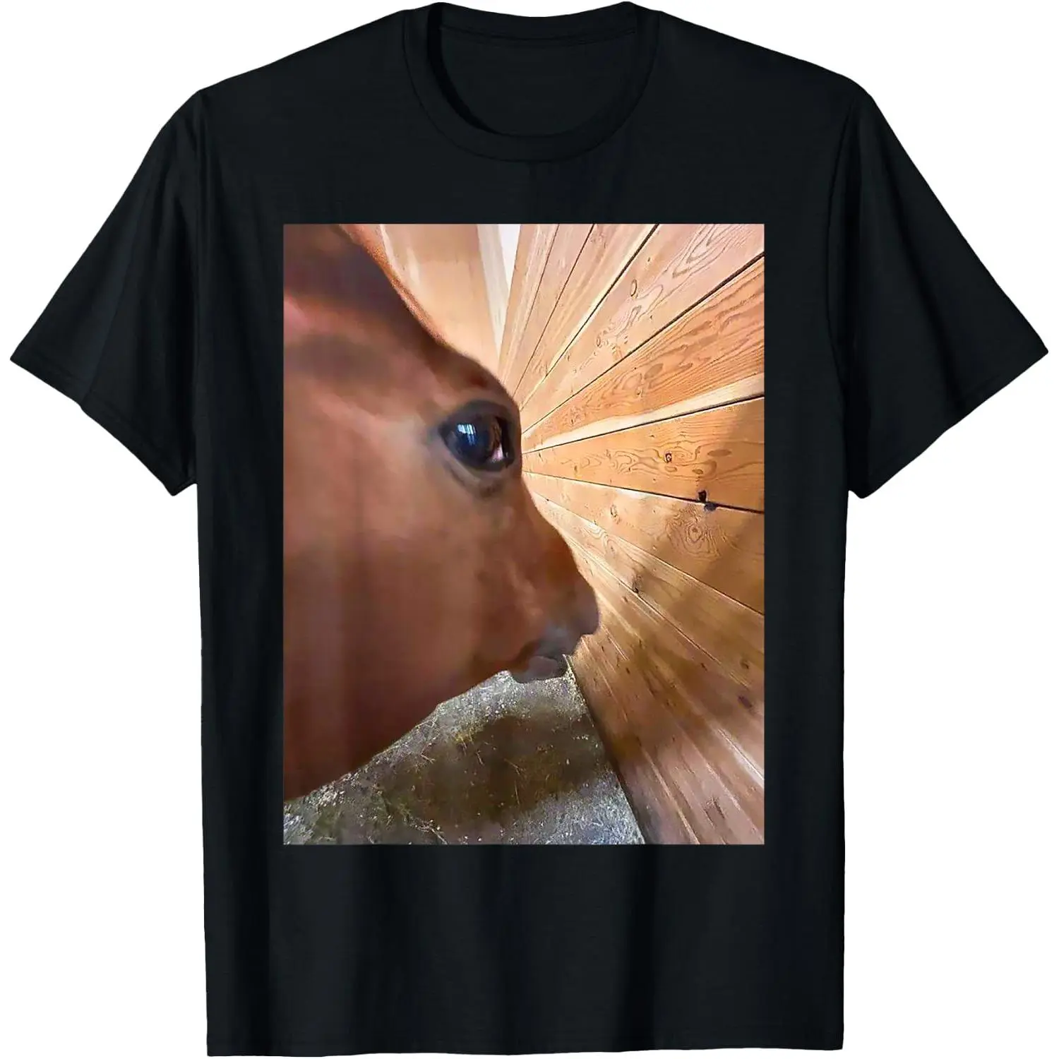 Women's Short-Sleeve Casual Distressed Graphic T-Shirt, Funny Side Eye Horse Meme Tops, Shortsleeve, Round Neck
