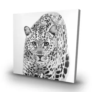 Begin Home Decor C1RC3232C9BHHT 32 x 32 in. Leopard Ready to Attack - African Canvas Home Decor Art
