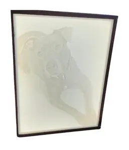 Custom Pet Light Box