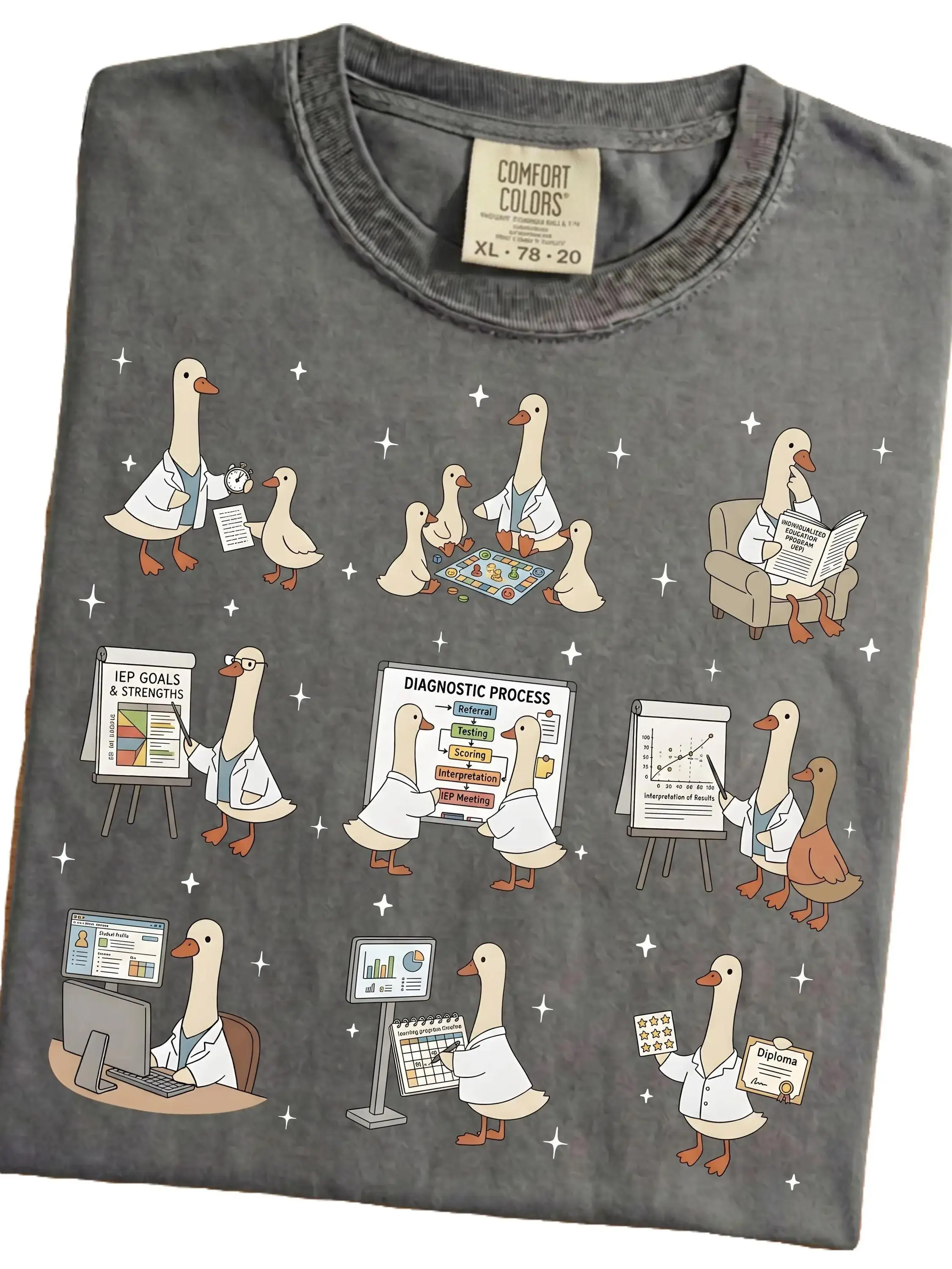 Educational Diagnostician Silly Goose Shirt – SPED Teacher, School Psychologist, RTI IEP Gifts