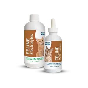 Advanced Feline Mineral and Electrolyte Replenishment Set