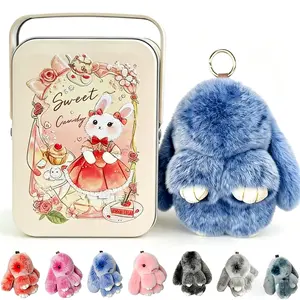 2026 New Edition Plush Floppy-Eared Rabbit (Upgraded Metal Tin Packaging) | Fluffy & Soft | Keychain Accessory | Home Decor Ornament | Gift for Children | Top Choice for the Holidays