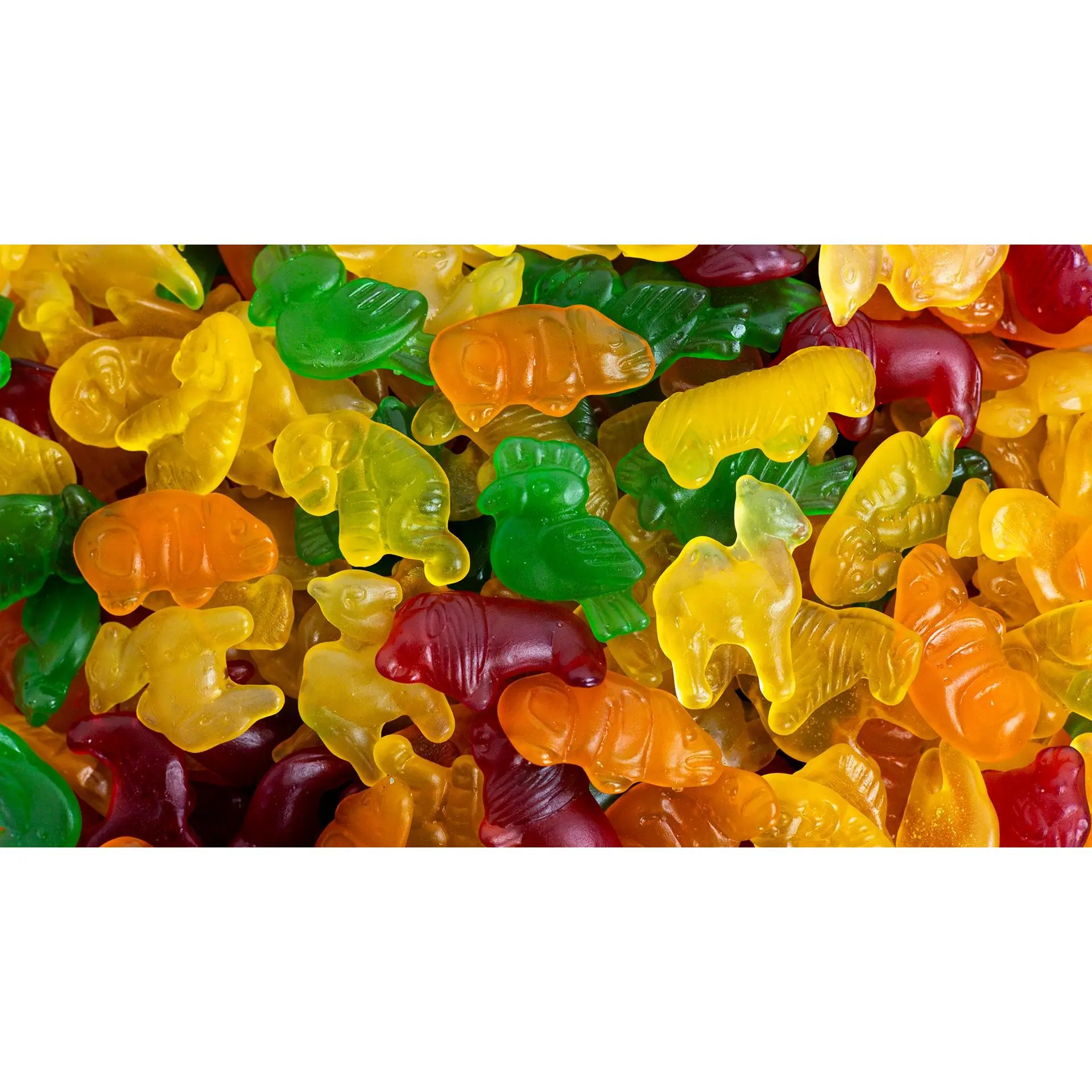 Fruit Animals