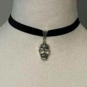 Skull Charm on an Adjustable Black Velvet Choker Necklace
