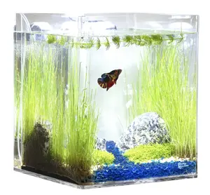 5 GALLON Self-Cleaning Aquarium | Rimless | Seamless | Cube
