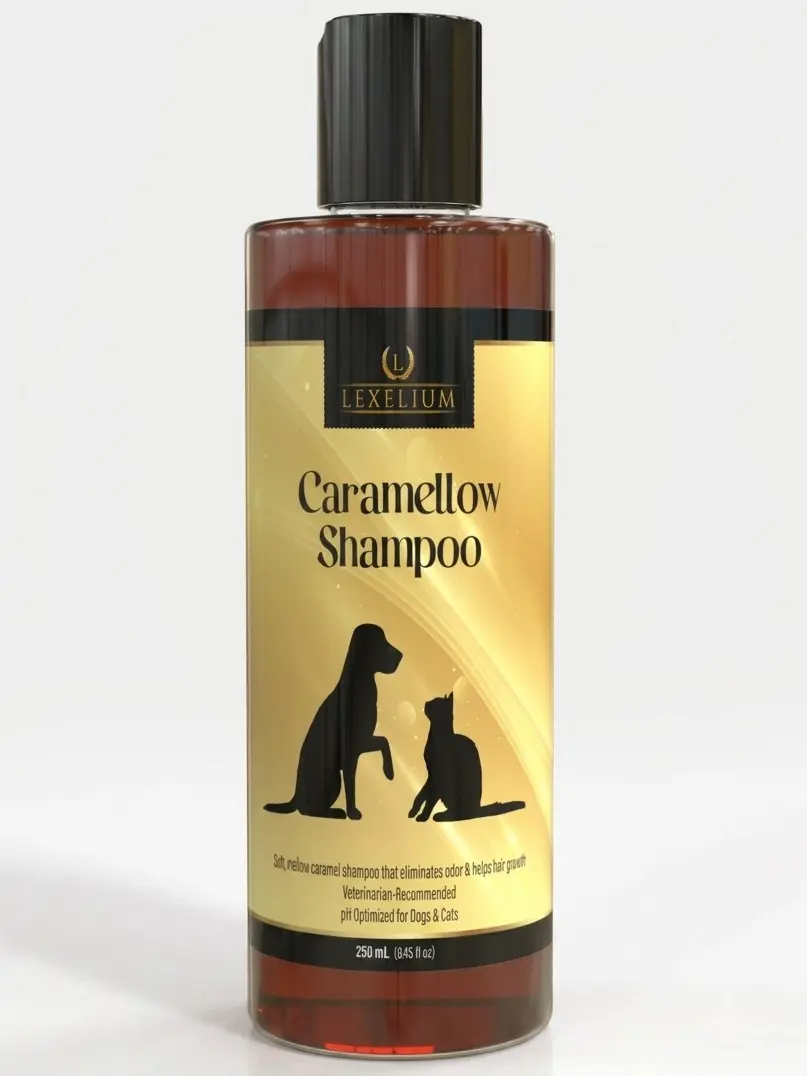 Lexelium Caramellow Dog Shampoo - Odor Control Pet Shampoo for Dogs & Cats - Cleans, Deodorizes & Supports a Healthy Coat